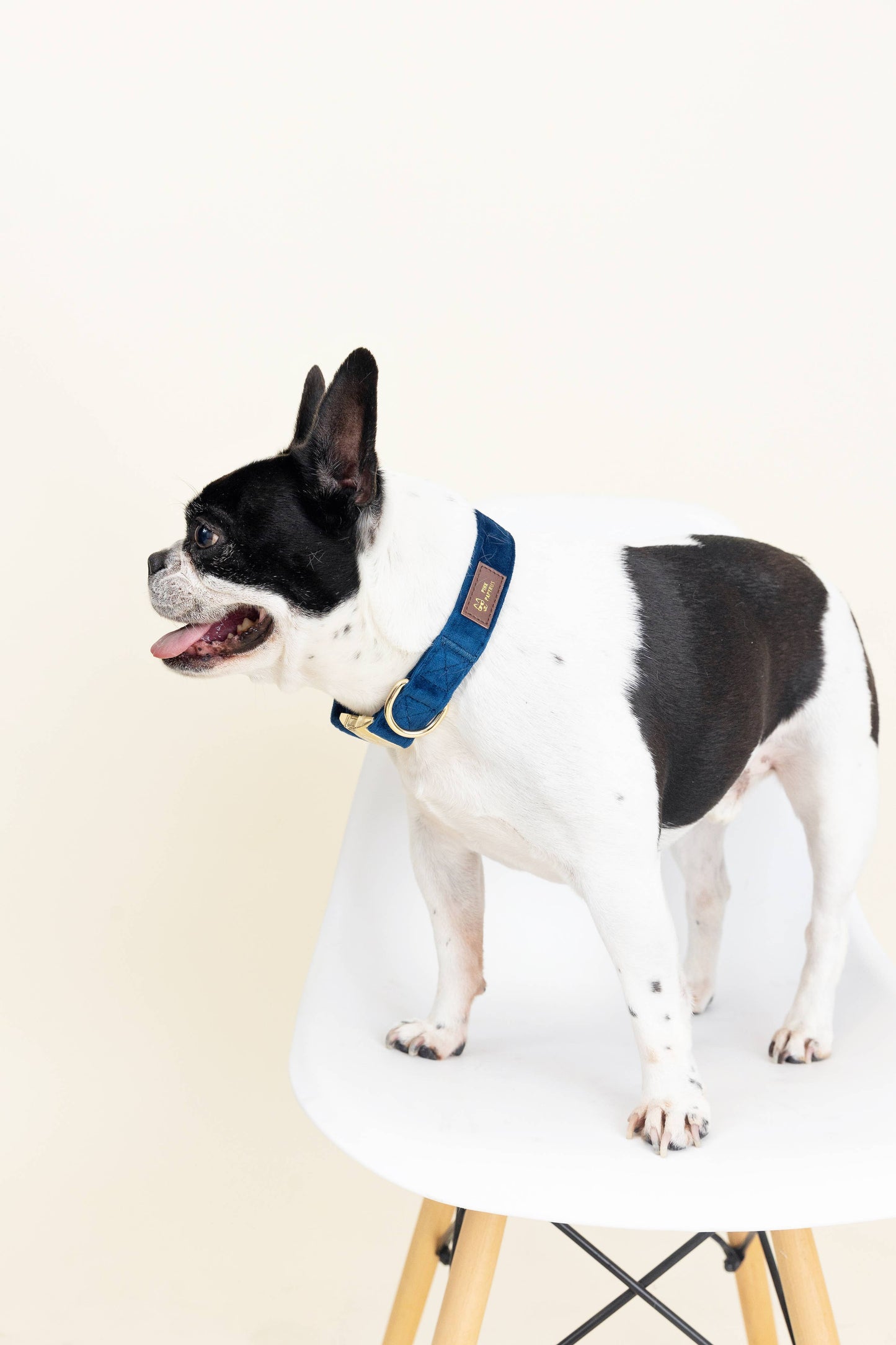 Dark Blue Dog Collar