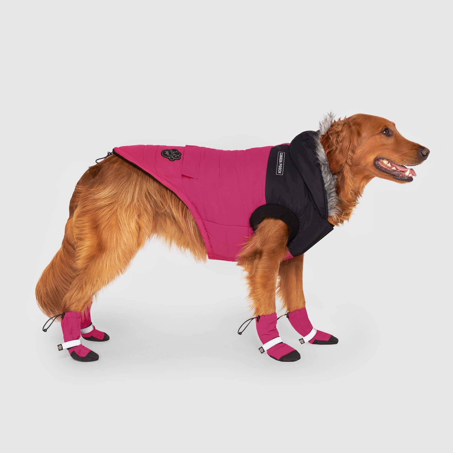 True North Dog Parka: Black / 18
