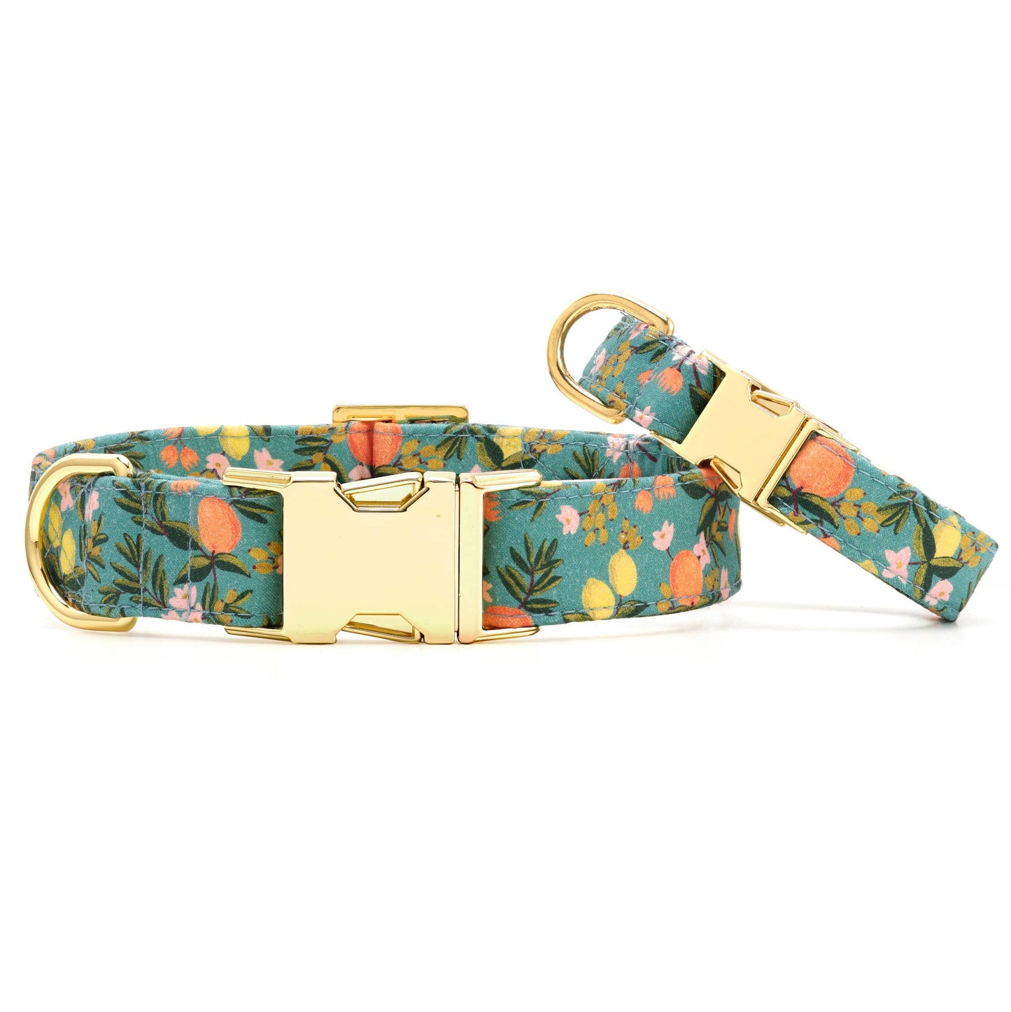 Citrus Floral Dog Collar