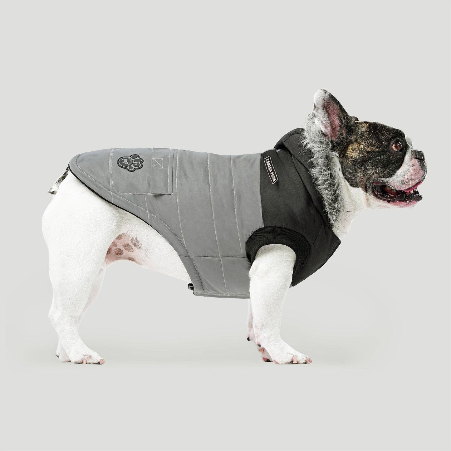 True North Dog Parka: Black / 18