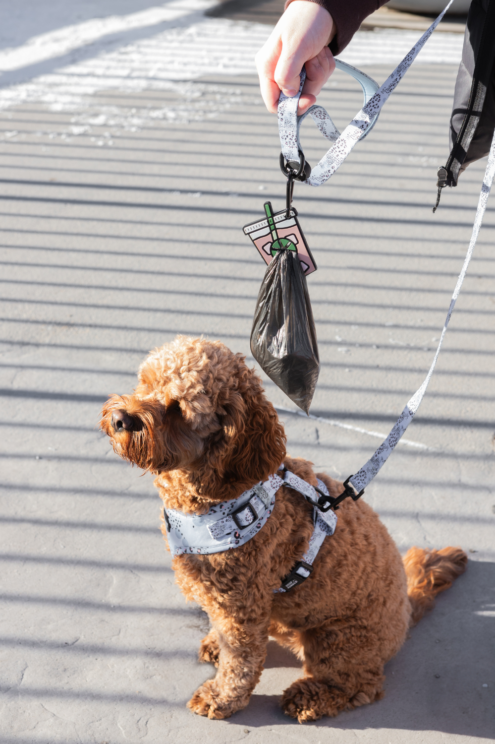 Iced Coffee Poopy Loop® Dog Waste Bag Holder