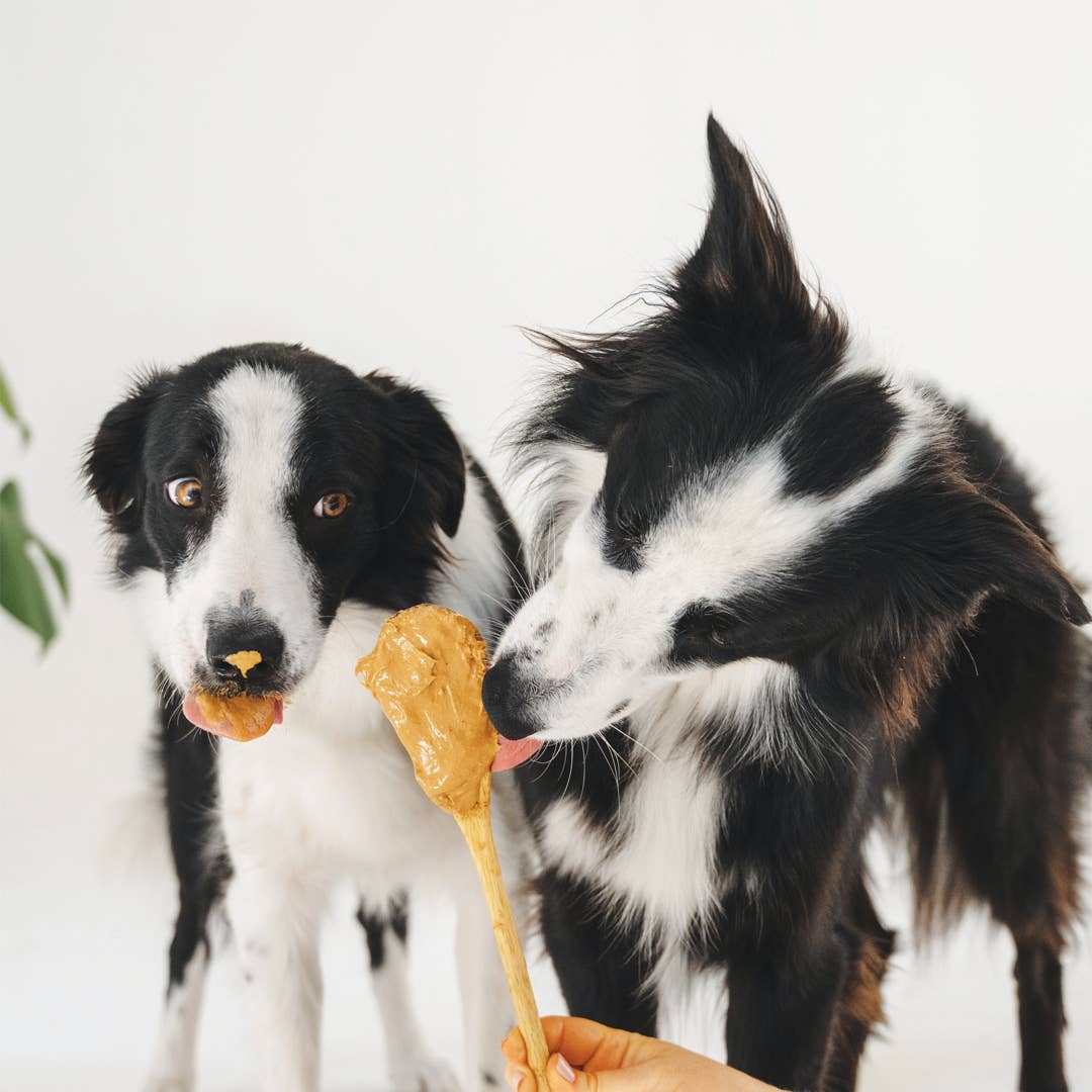 Gizzls Brain Booster Dog Treats (200g)