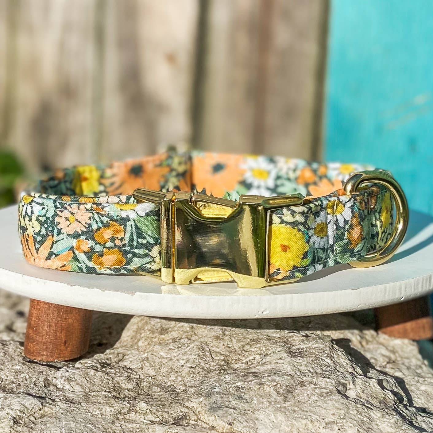 Wild Daisies spring floral sage, peach, yellow dog collar