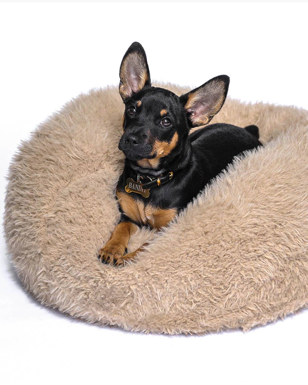 ModernBeast Pod Bed