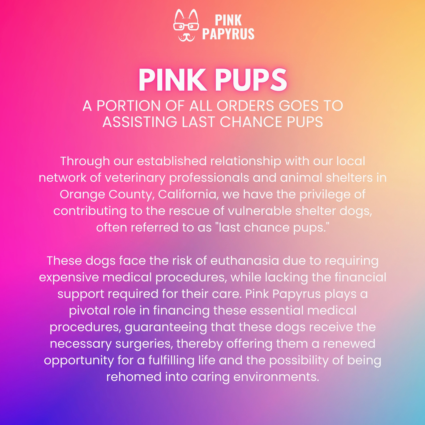 Pink Valentina Dog Collar