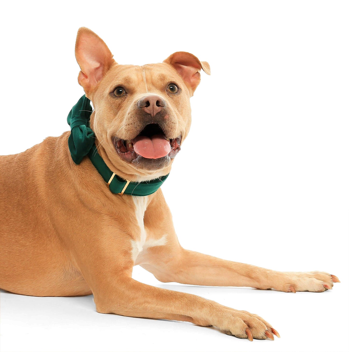 Forest Green Velvet Bow Tie