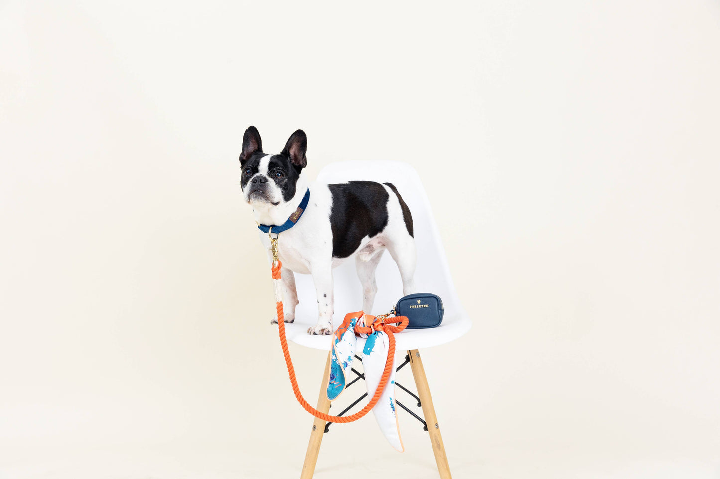 Dark Blue Dog Collar