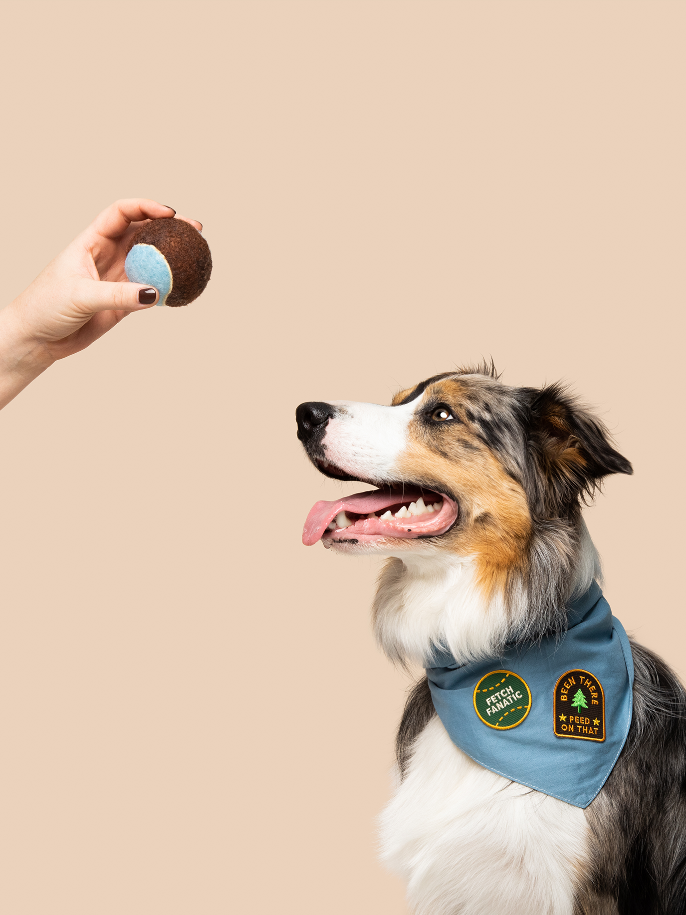 Fetch Fanatic Patch