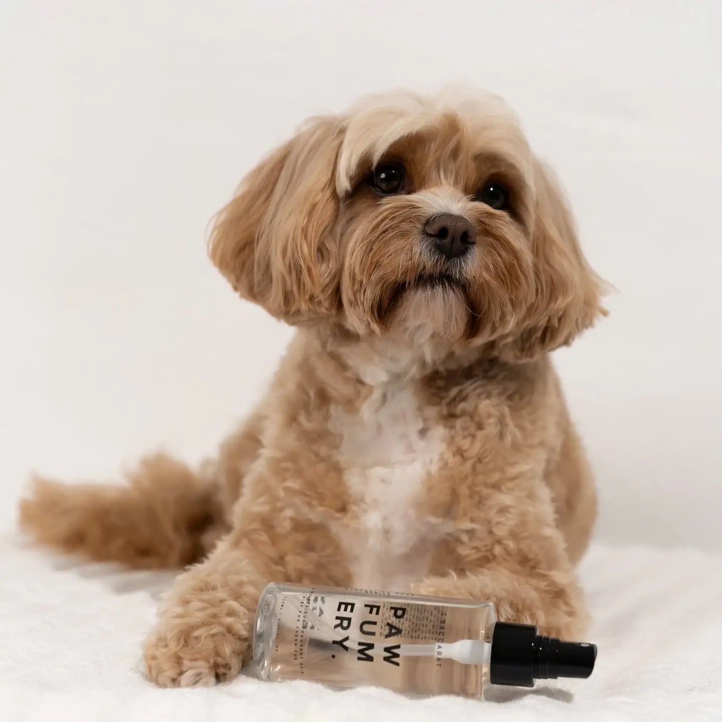 L'Baccarat Pawfum Spray