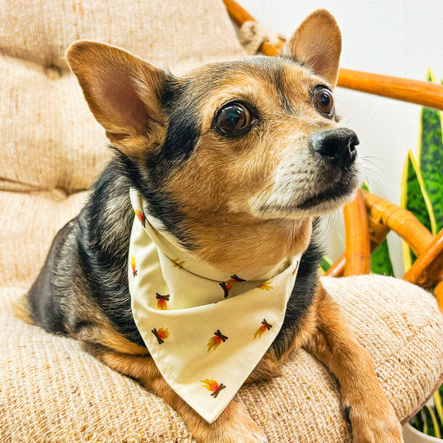 Ember Dog Bandana | Campfire Hike Outdoor Camp Pet Accessory: Cream / XL