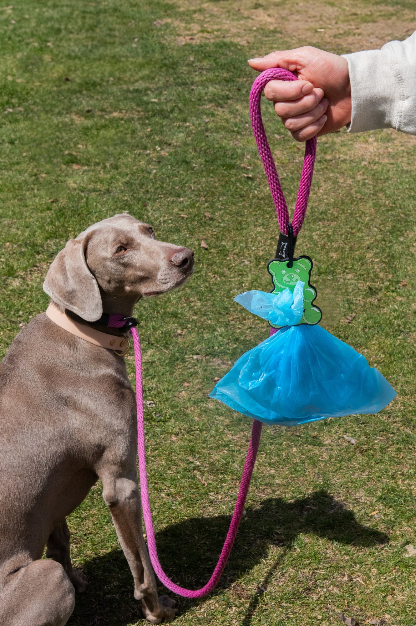 Green Gummy Bear Poopy Loop® Used Dog Waste Bag Holder