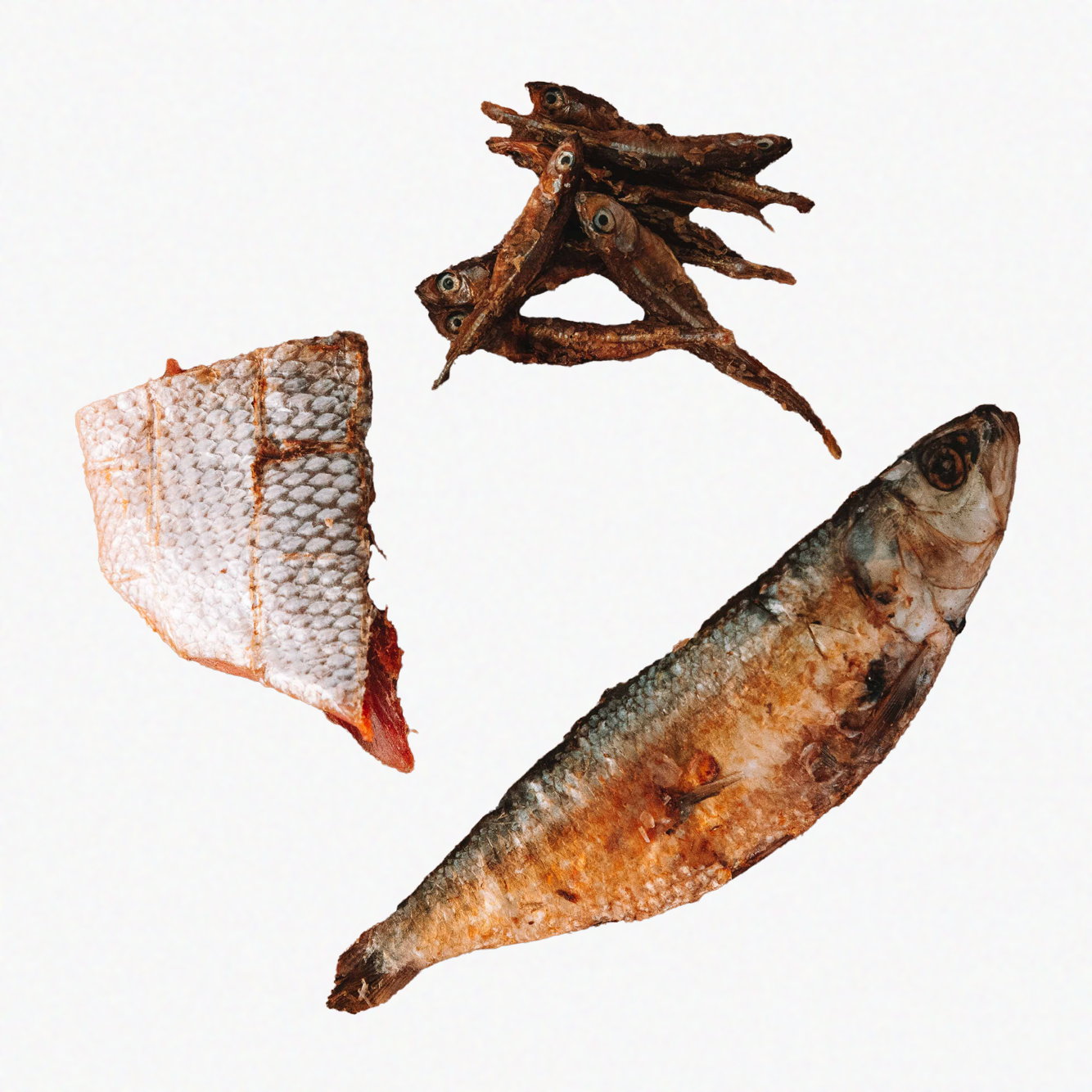 All I Sea is Food Omega-3 Bag