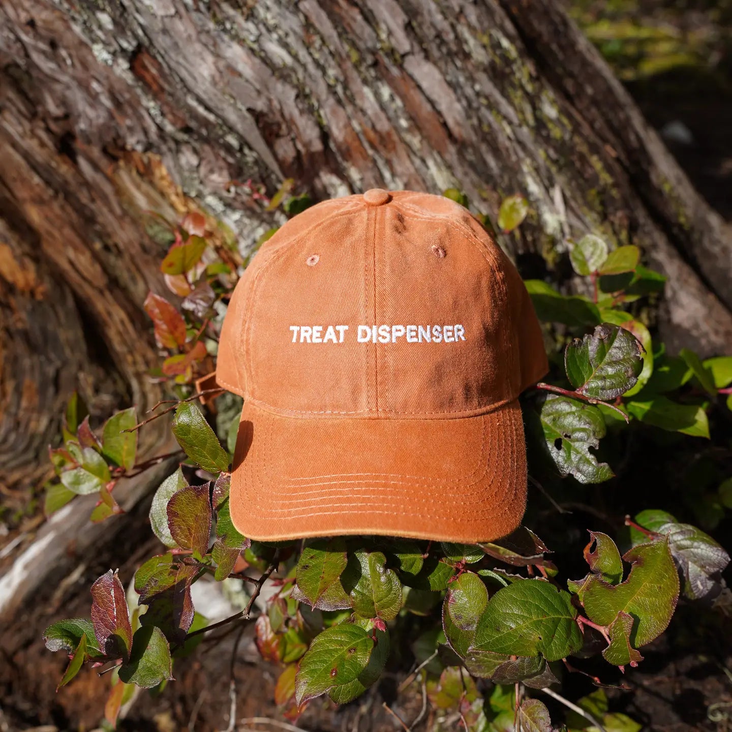 Treat Dispenser Embroidered Hat