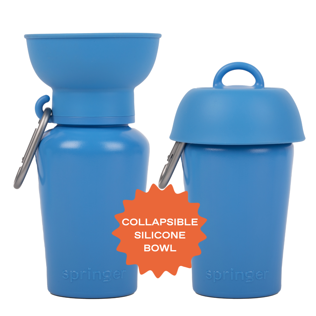 Dog Travel Water Bottle, 20oz, Flip Silicone (Mixed 12 Pack)