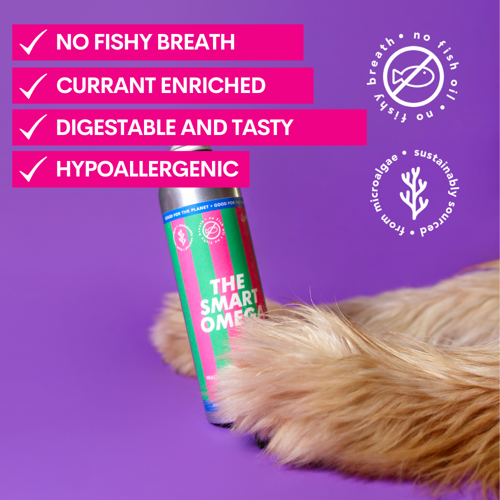 The Smart Omega - Plant-based Omega3 Oil for Dogs