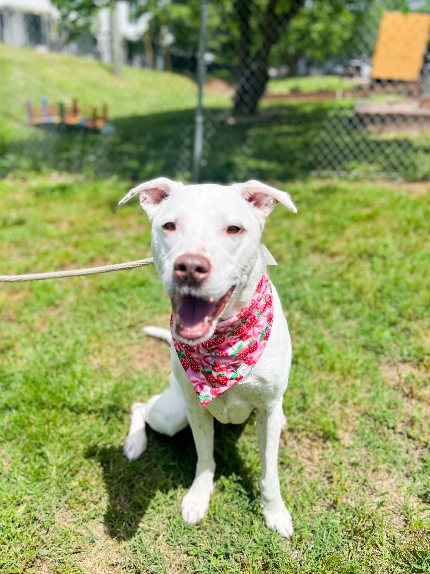 3D Strawberry Wrinkle Resistant Bandana: Medium/large