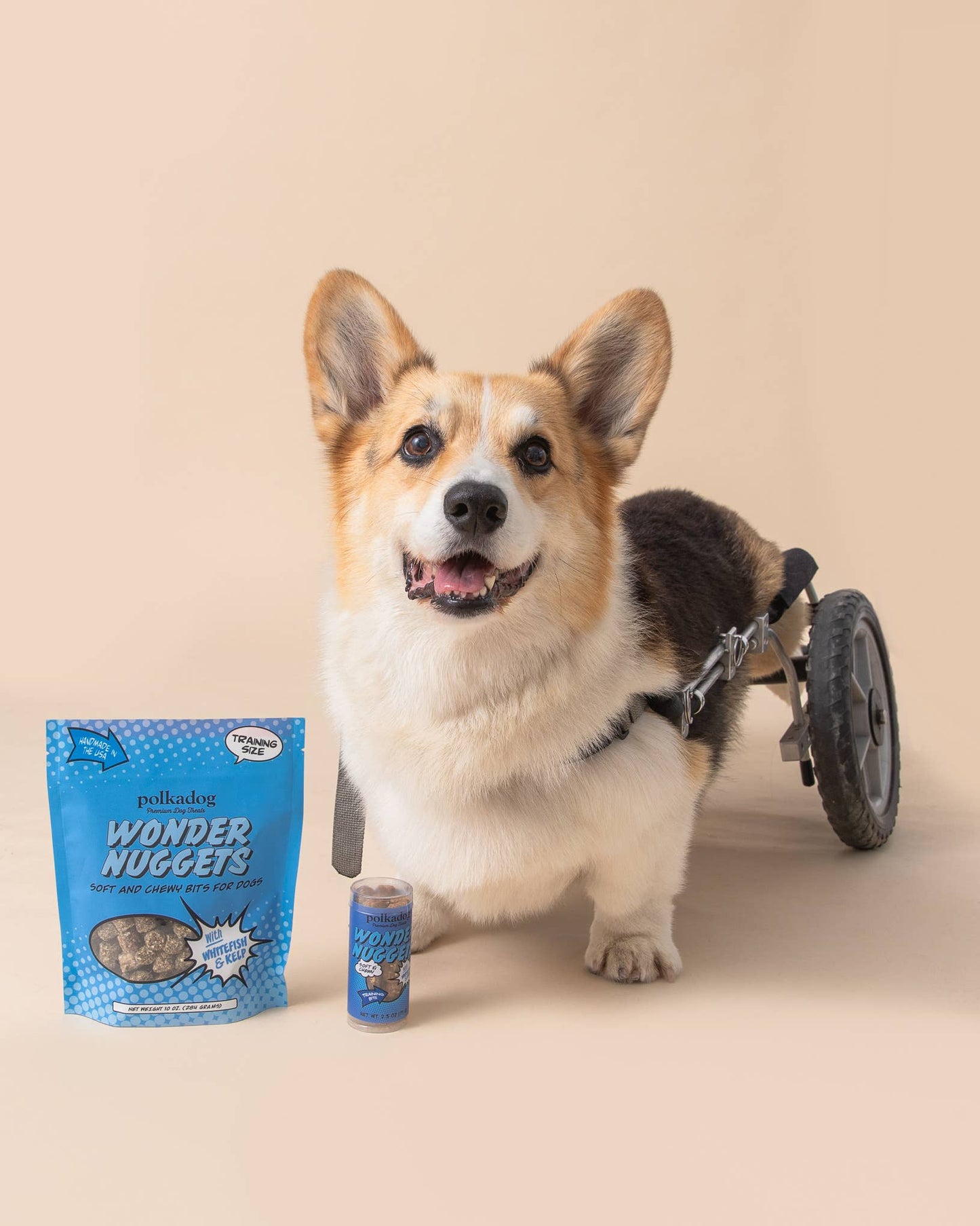 Wonder Nuggets, Whitefish & Kelp - 2.5oz - Dog Treats