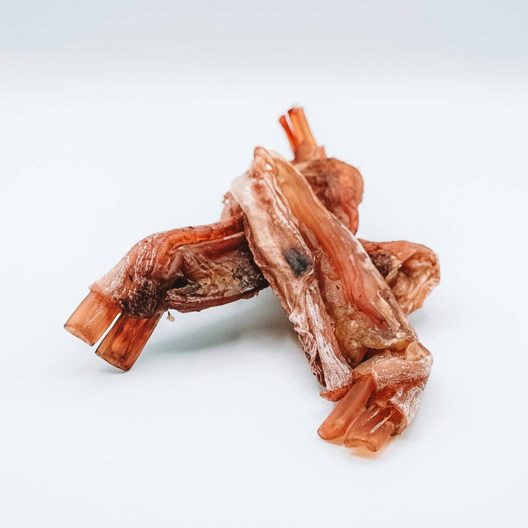 Dehydrated Bison Tendons: 5-6oz (around 3 tendons)