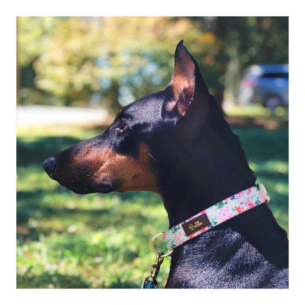 Isabella Floral Dog Collar