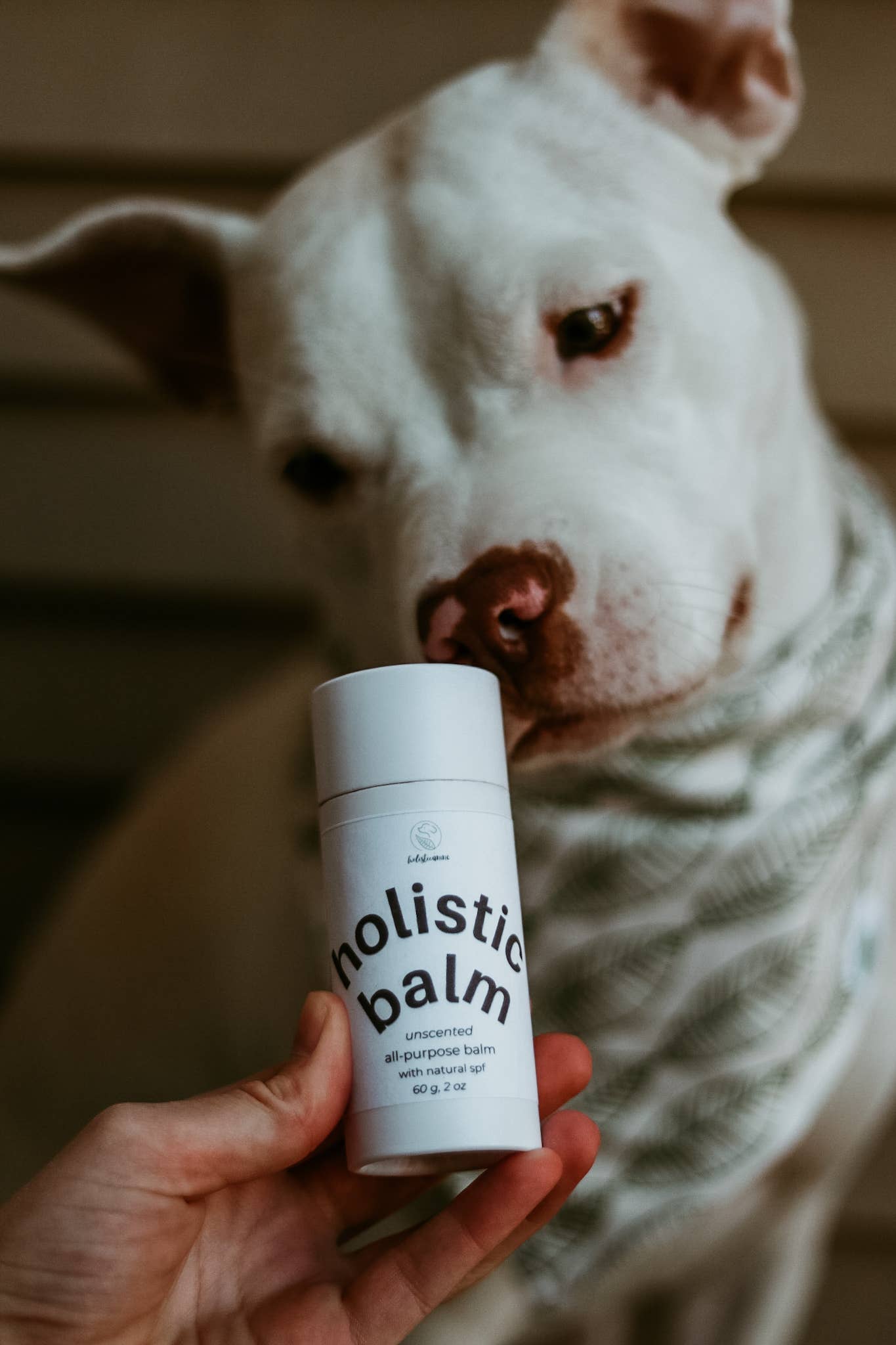 Organic & All-Purpose Balm for Paws + Skin