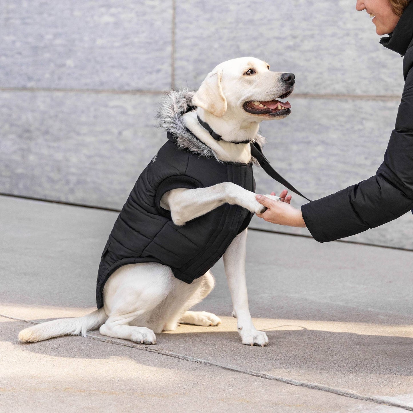 True North Dog Parka: Red / 26
