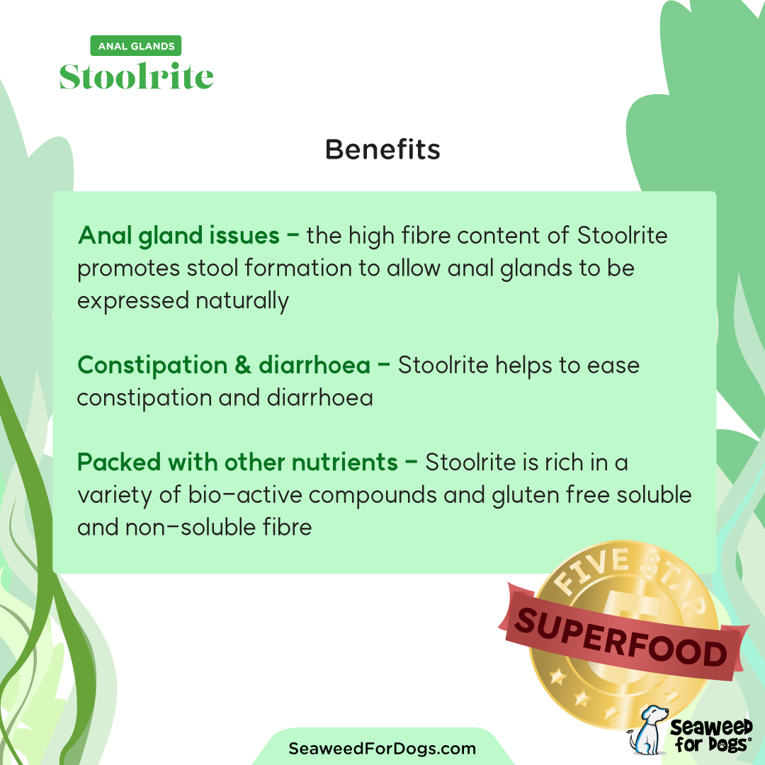 Stoolrite Anal Gland Supplement - 150 grams