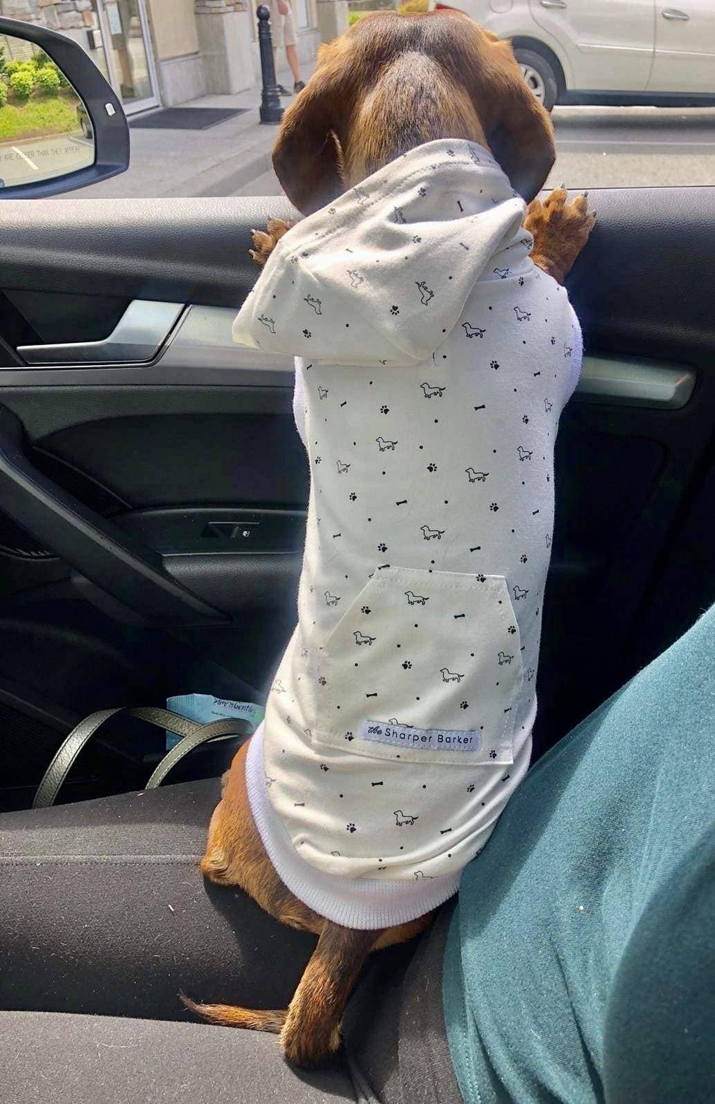 Paws & Bones Dog Hoodie