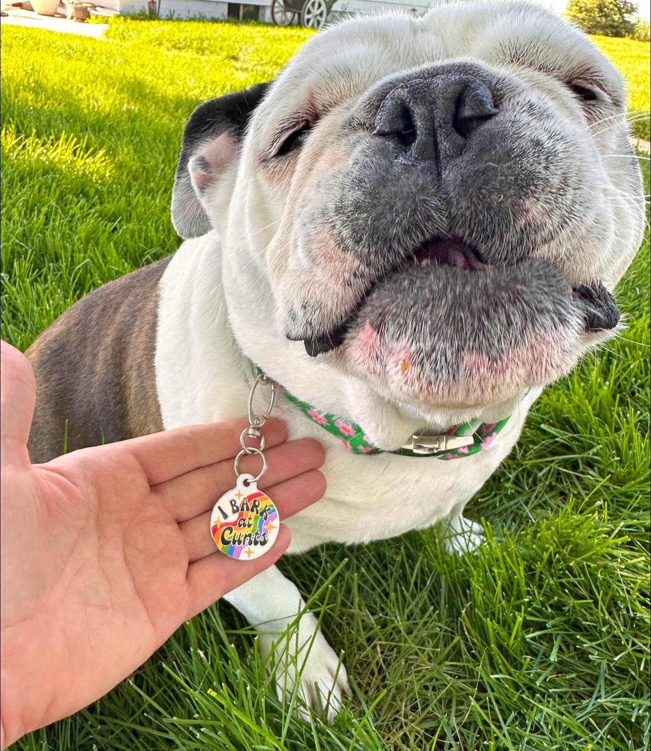 I Bark at Cunts Rainbow Tag