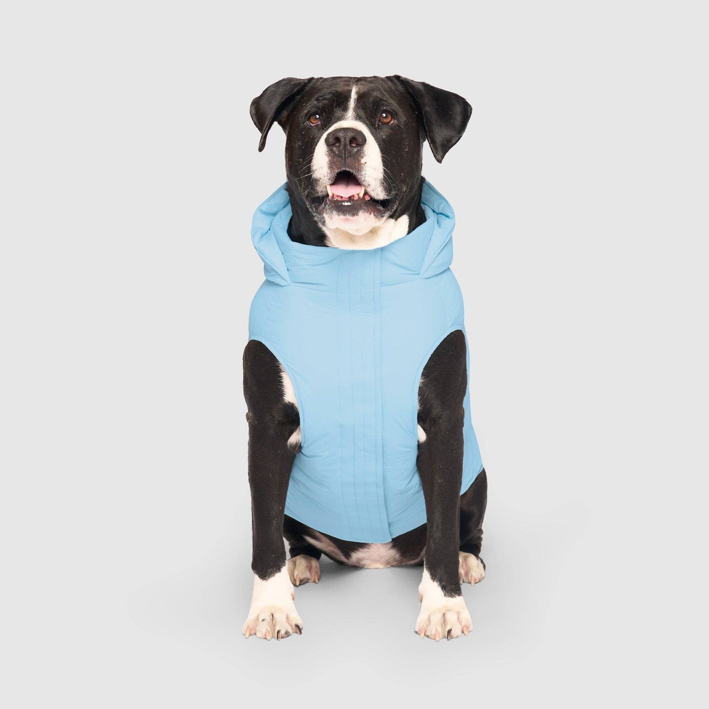 Waterproof Dog Puffer: Black / 18