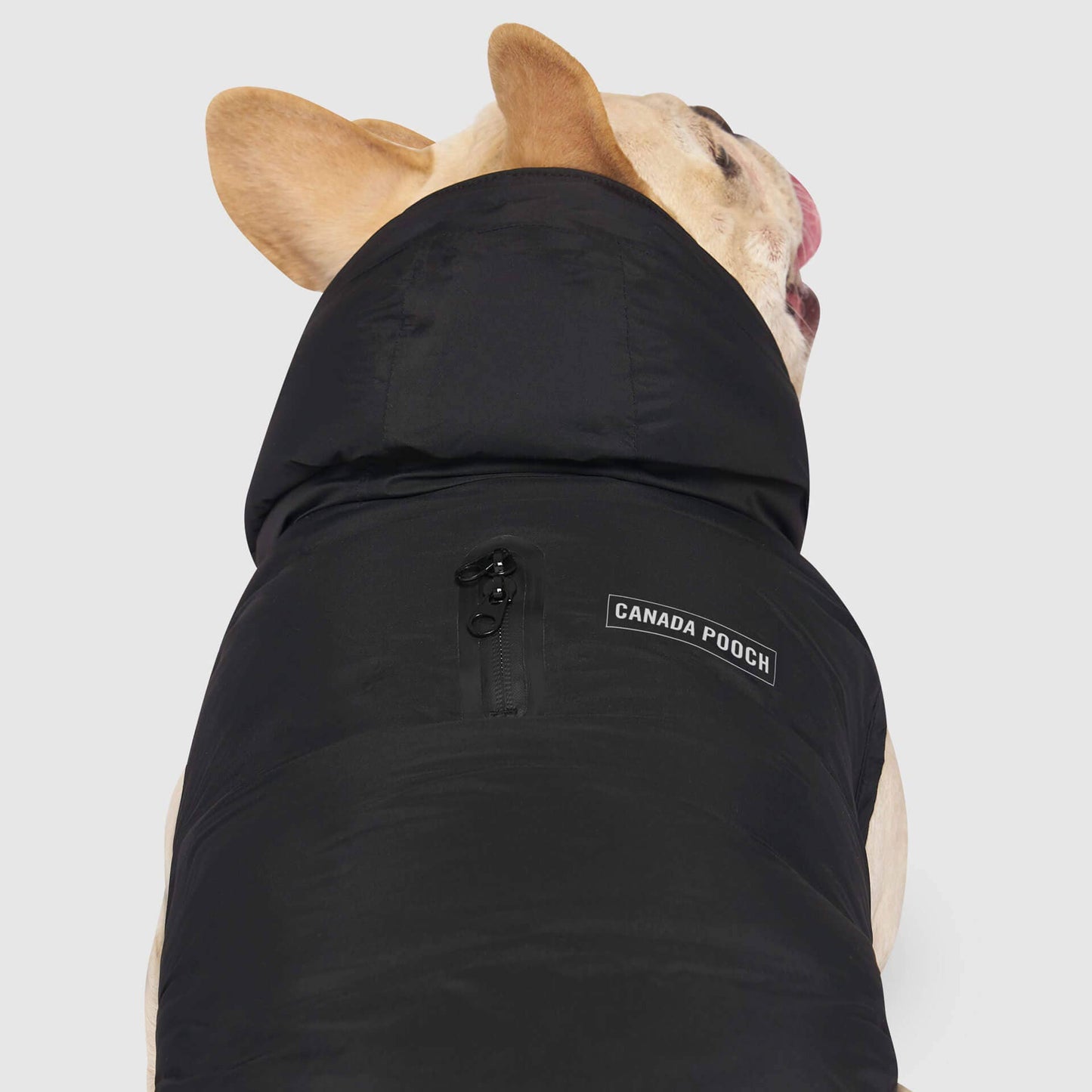 Waterproof Dog Puffer: Black / 18