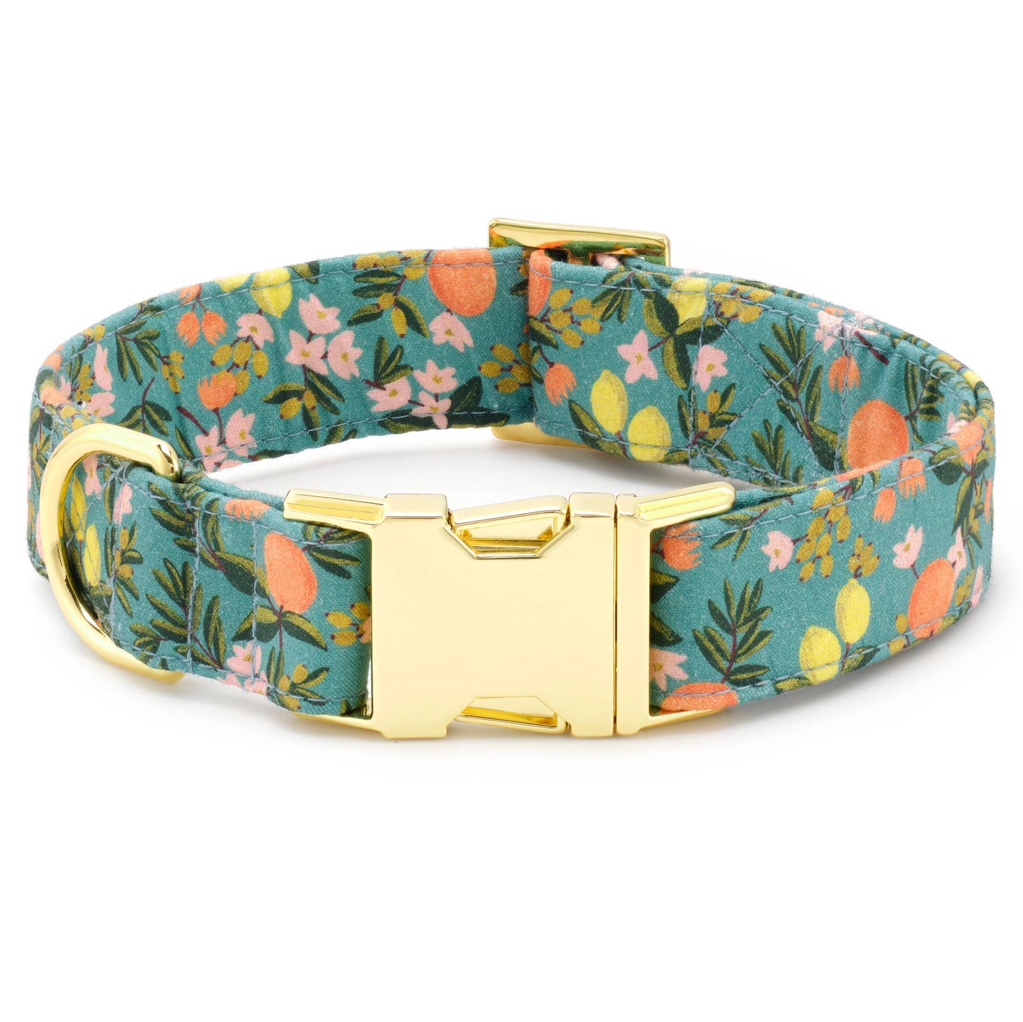 Citrus Floral Dog Collar