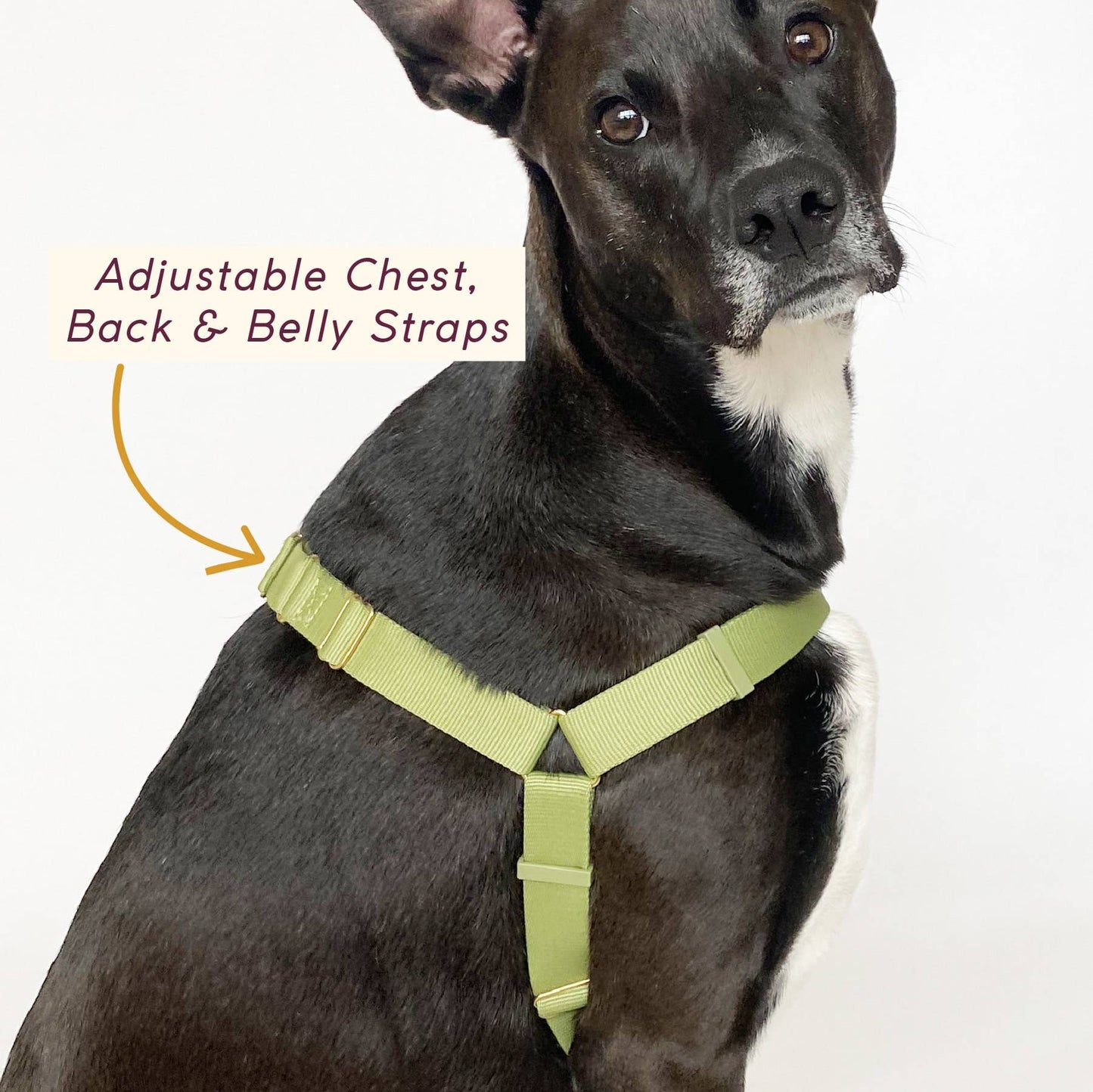 Roam Harness: PEACH / Large
