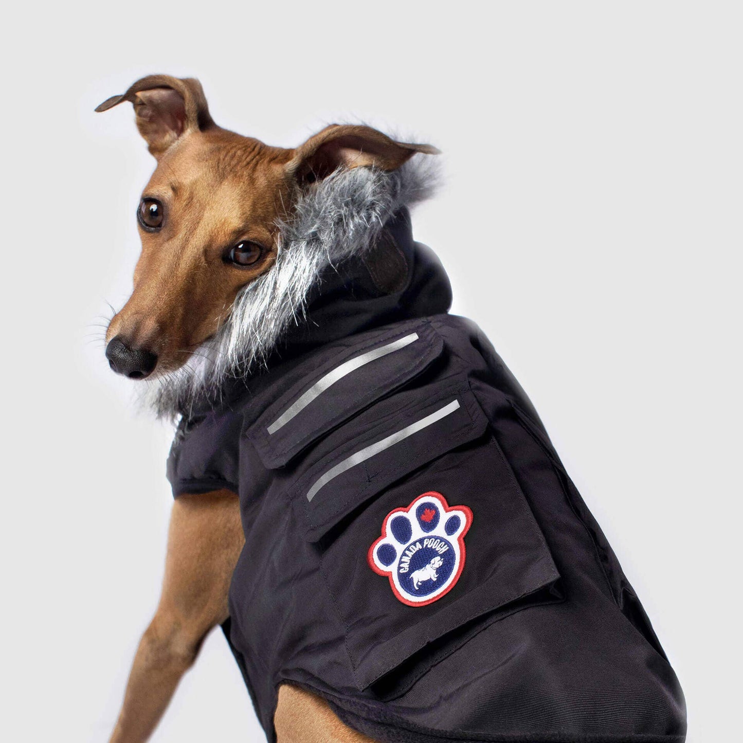 Everest Explorer Jacket- Dog Coat: Red Reflective / 22