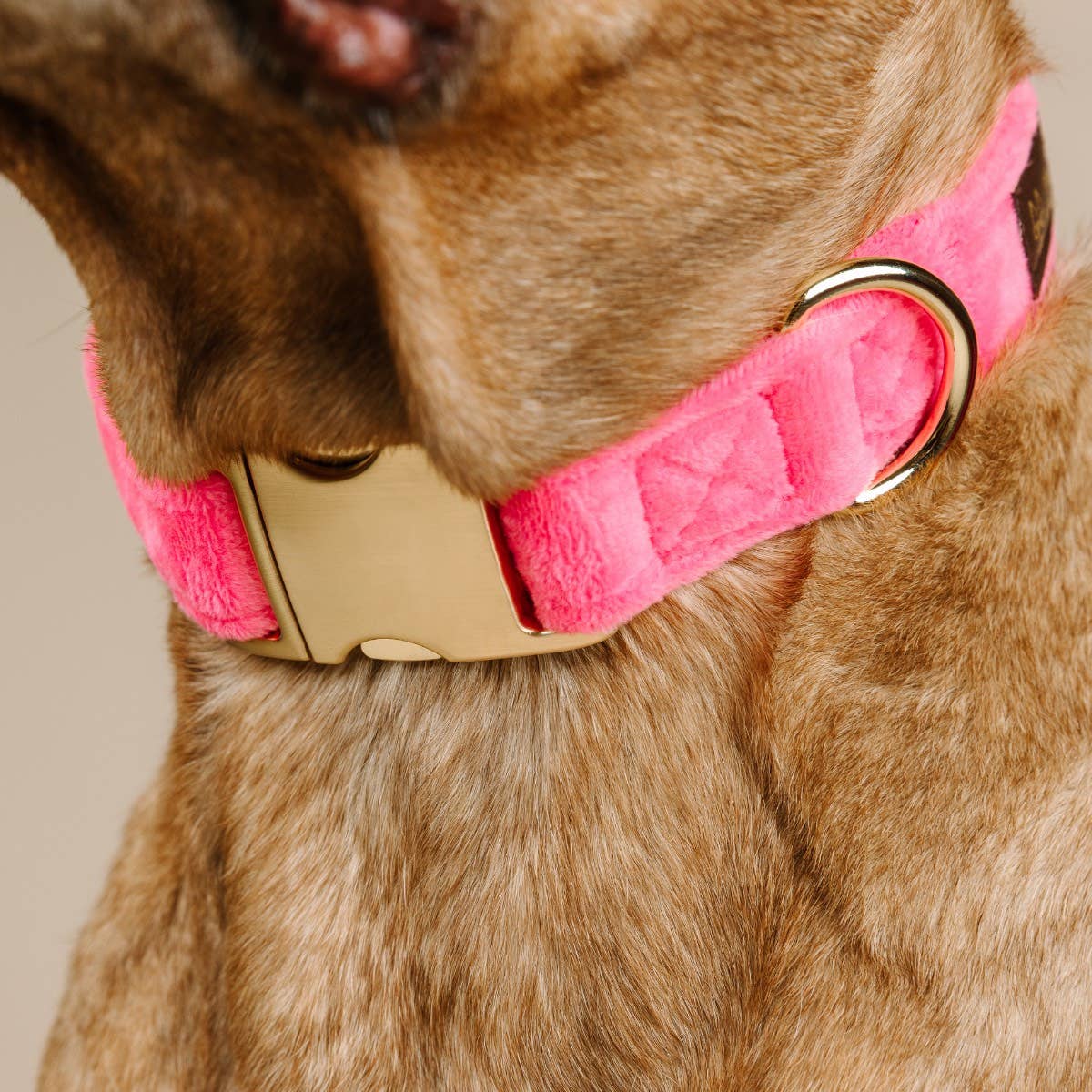 Pink Valentina Dog Collar