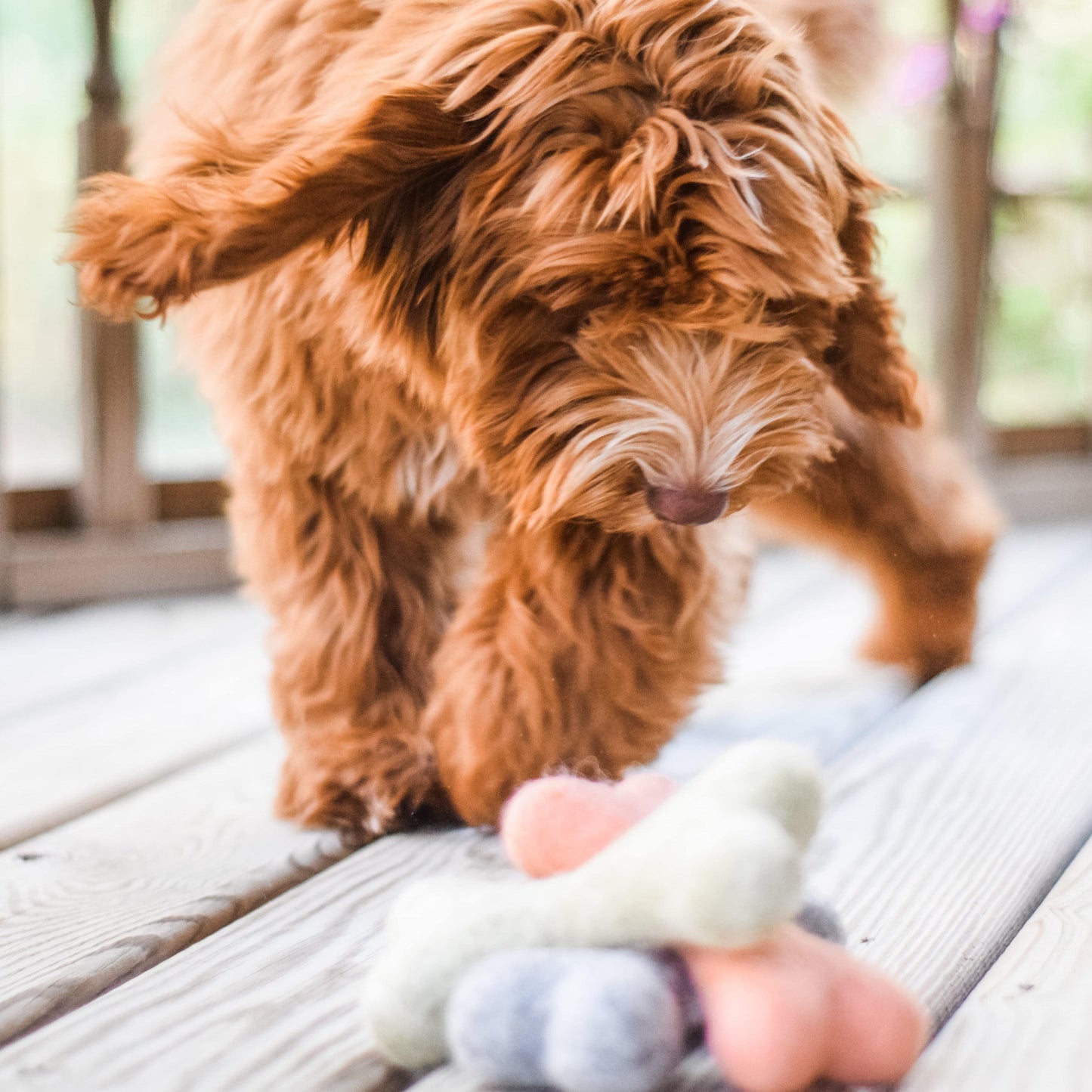 Bone Felt Toy: OMBRE