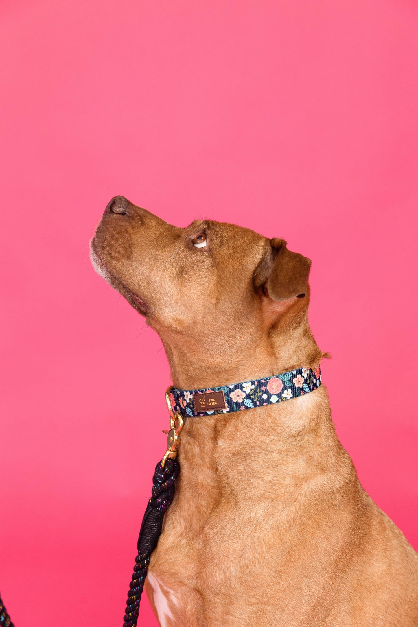 Riley Dark Floral Dog Collar