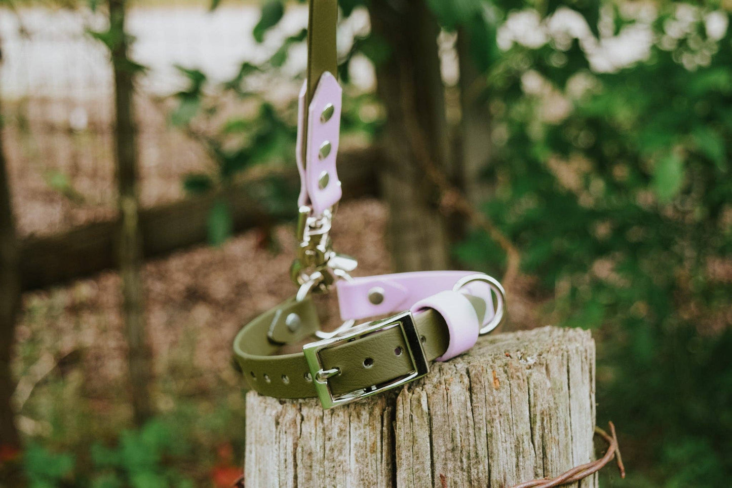 Quest Collar: L