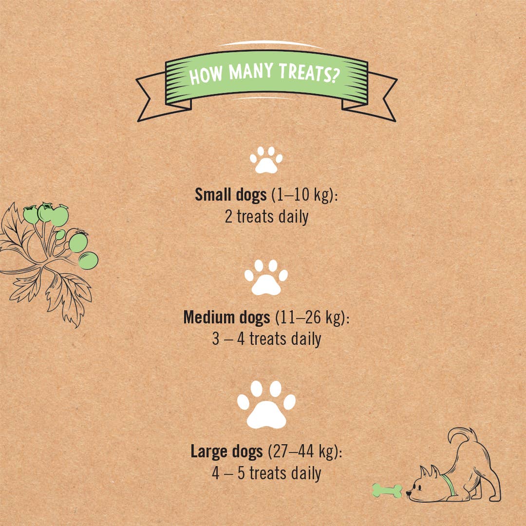 Gizzls 100% Natural Dog Treats for Seniors