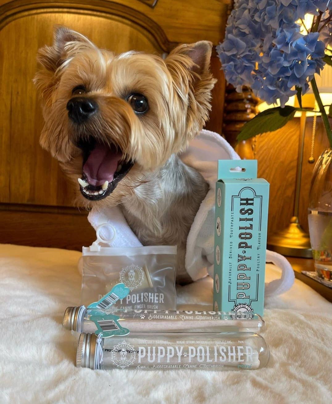 Puppy Polish Toothpaste - Beef Filet Mignon