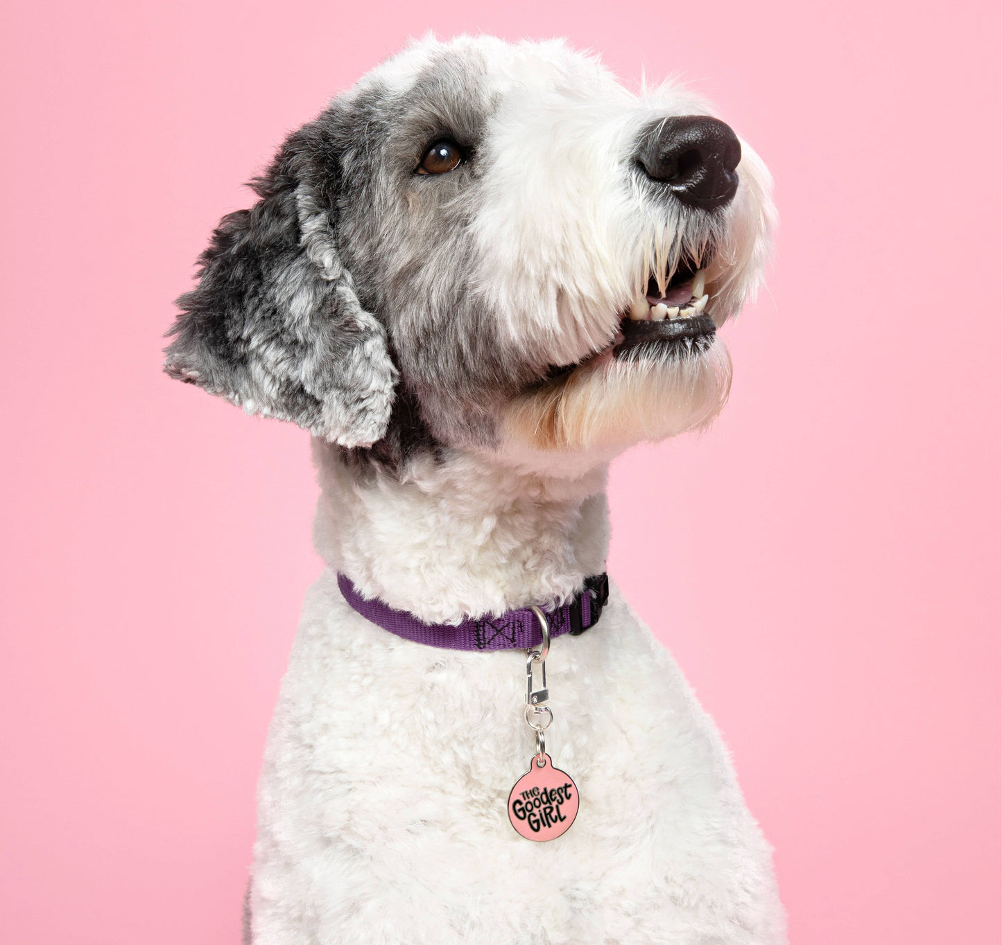 The Goodest Girl Tag