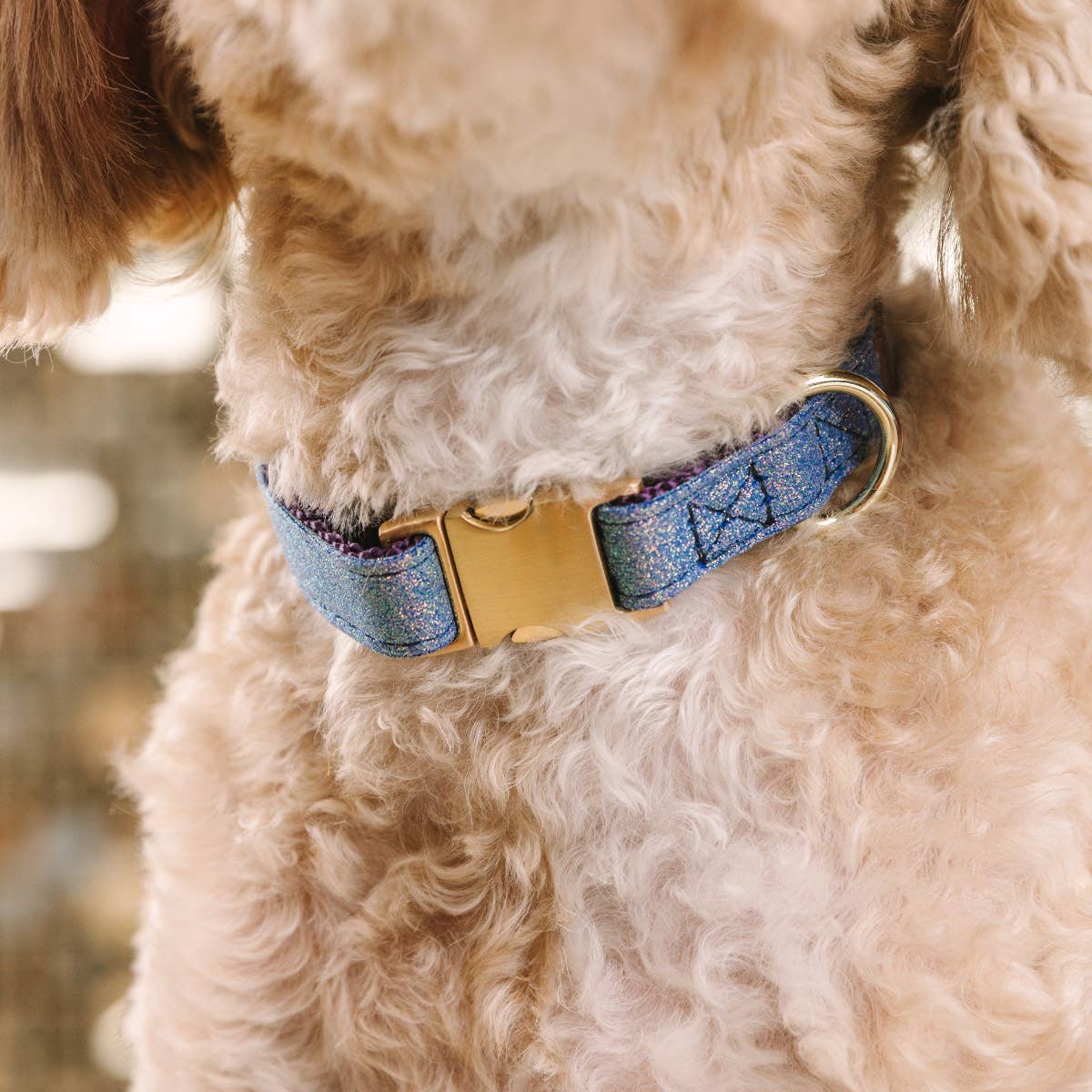 Jolie Purple Glitter Dog Collar