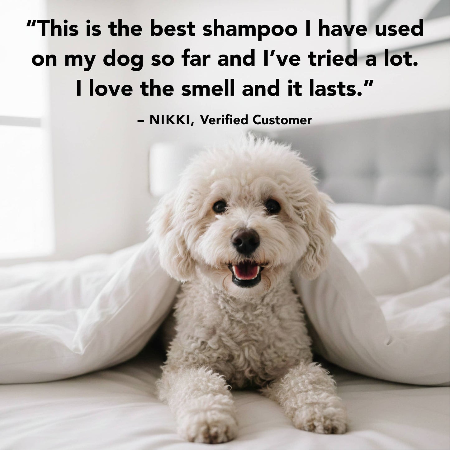 THE SENSITIVE ONE Shampoo, 12oz