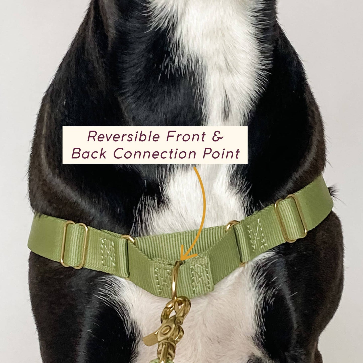 Roam Harness: OLIVE / Large