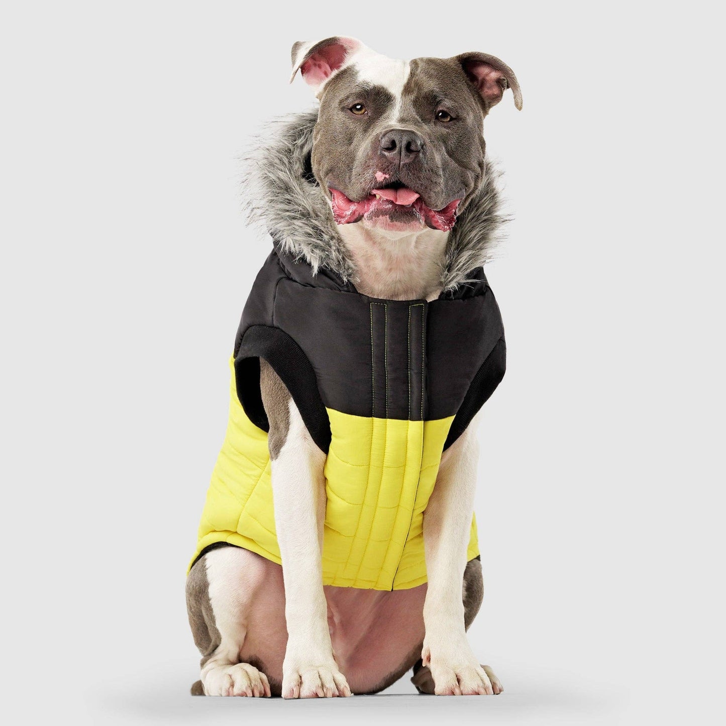 True North Dog Parka: Red / 26
