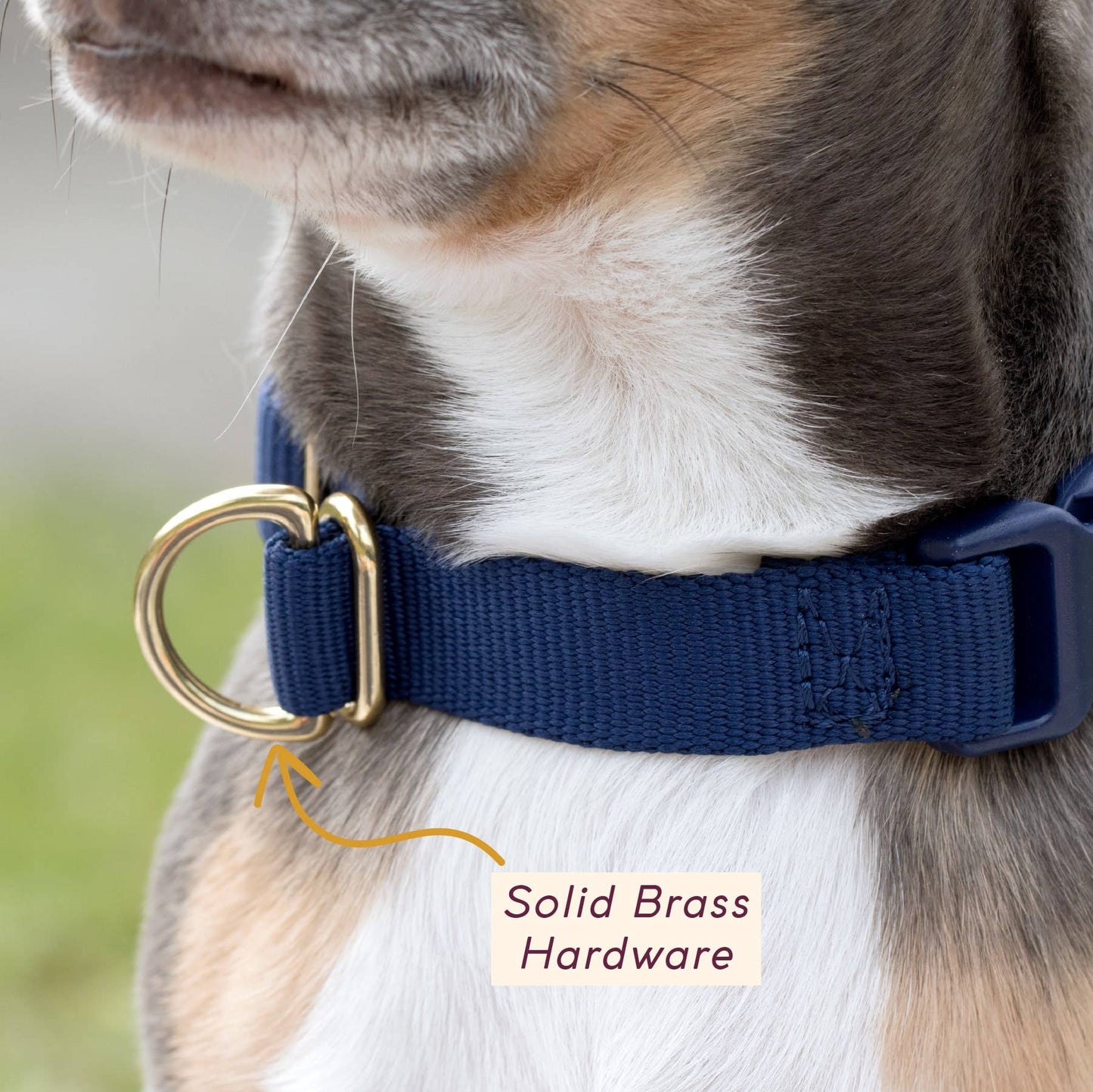 Pack Collar: PINE / Large