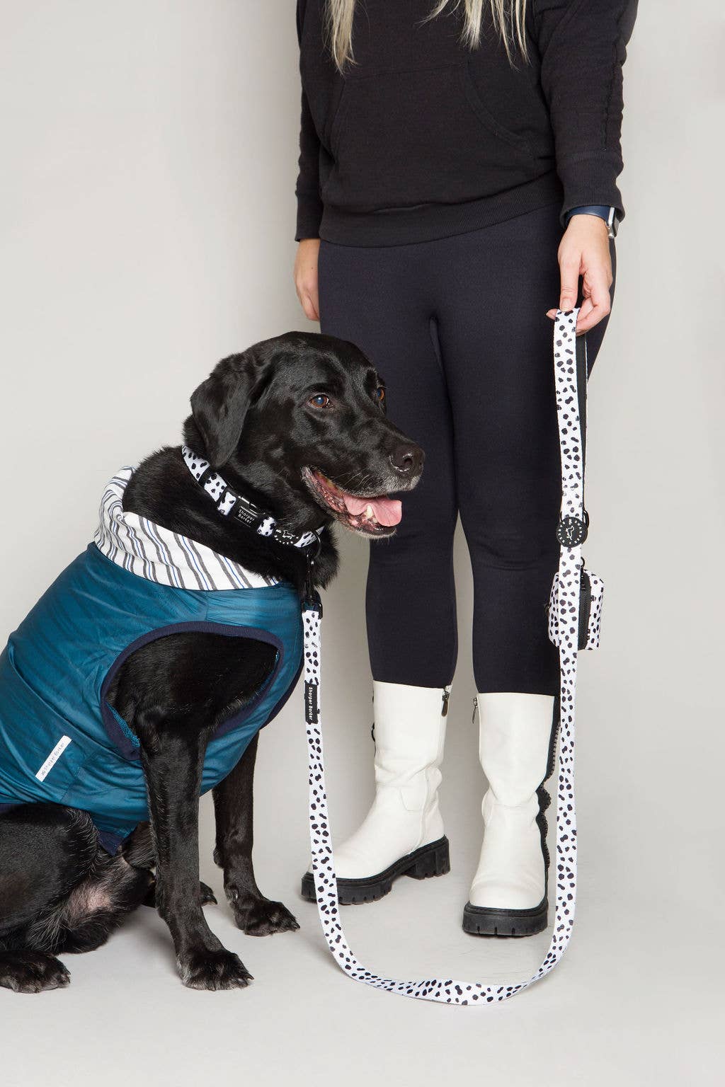 Dog Rain Jacket Jogger & Windbreaker - Teal Blue