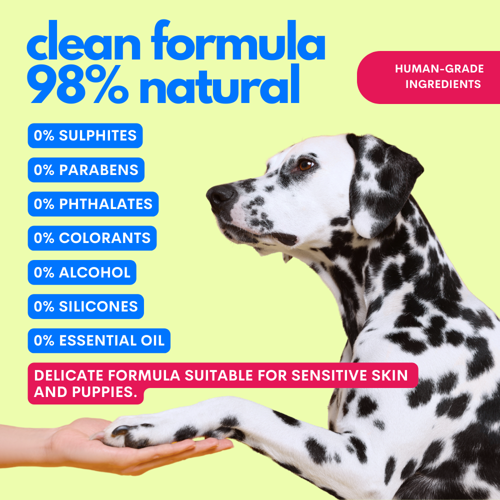 One Two Clean No-Rinse Spray