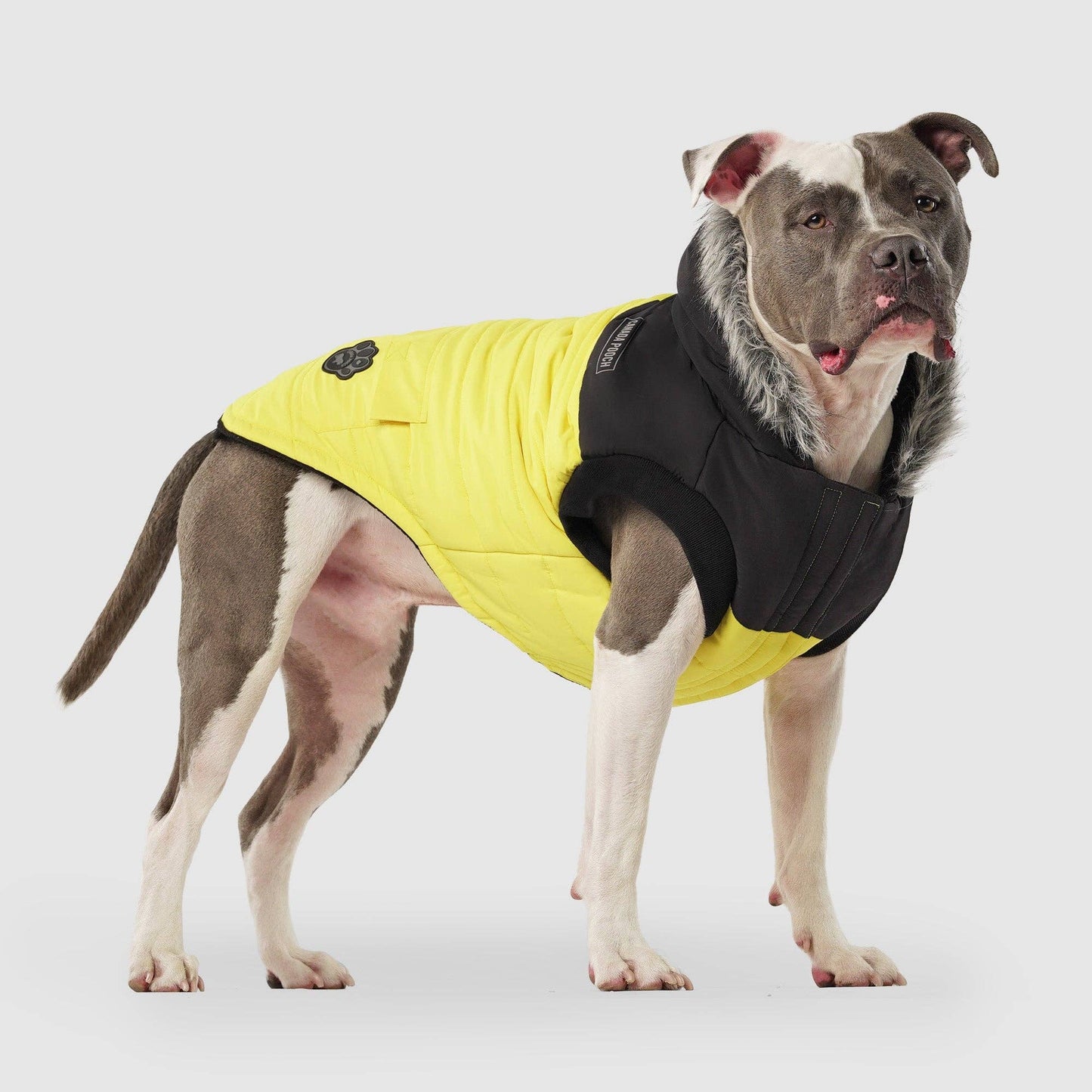 True North Dog Parka: Black / 18
