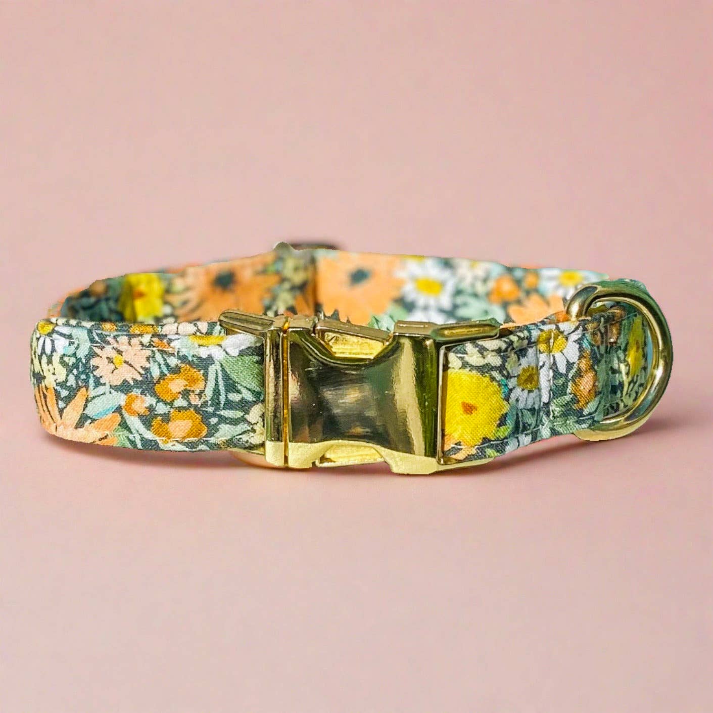 Wild Daisies spring floral sage, peach, yellow dog collar