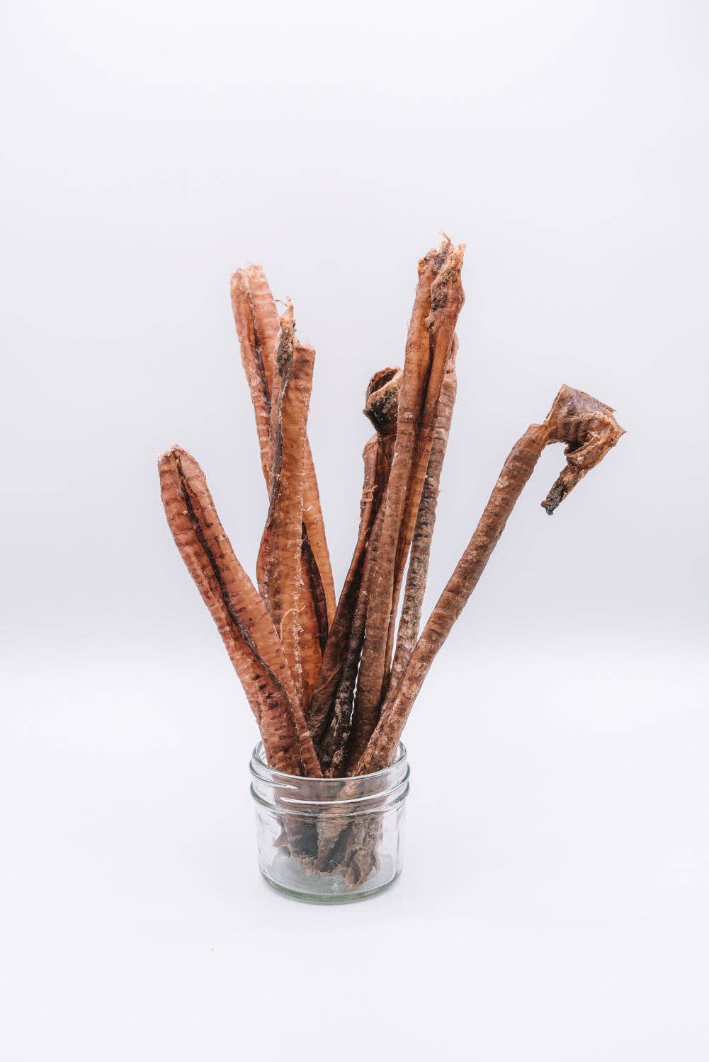 Dehydrated Lamb Trachea (4-5")